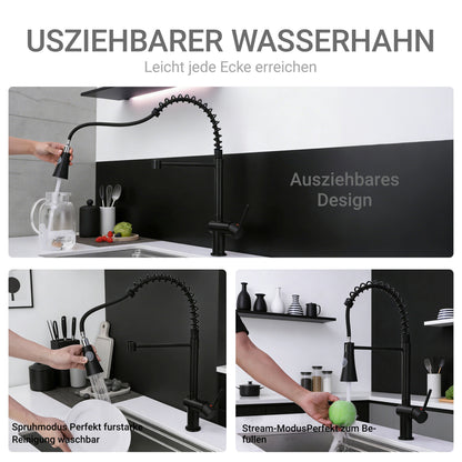 AICA Küchenarmatur Federzug Ausziehbarer Sprayer Messingkern Mischbatterie Wasserhahn Küche in Chrom & Schwarz Matt